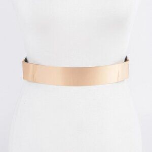 Metal Plate Elastic Belt